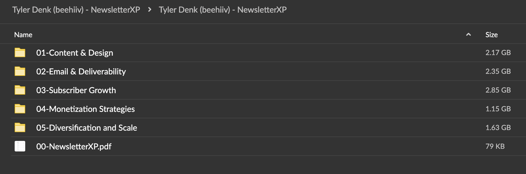 Tyler Denk (beehiiv) – NewsletterXP